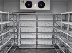 CT FoodCHAIN (D5), Factory #580070421